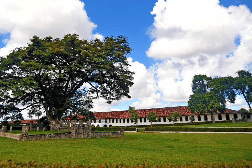 Coudelaria Souza Leão